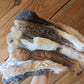 Rabbit Hide Tanning with Mezzaluna Fibers